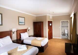 Отель Lawlors Hotel Дангарван Двухместный номер с 1 кроватью или 2 отдельными кроватями-4